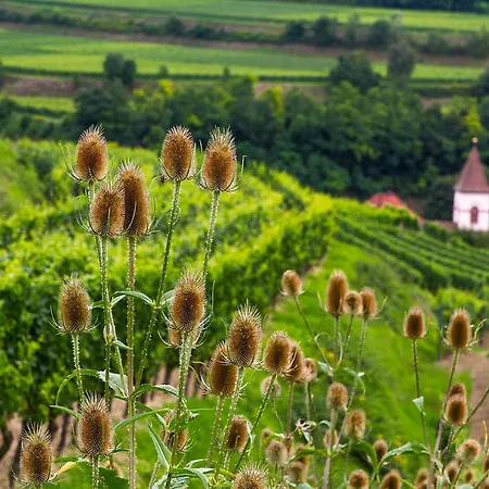 Bio Haus Am Weinberg