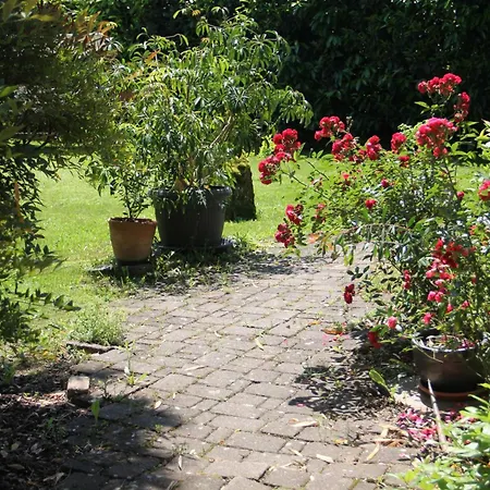 Bio Haus Am Weinberg Achkarren