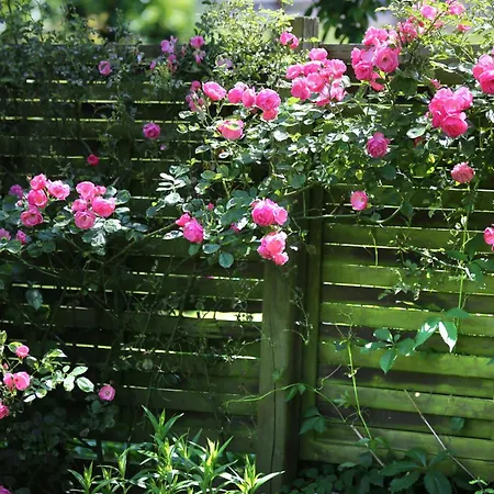 Bio Haus Am Weinberg Hotel *