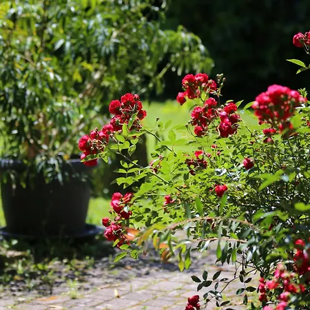 Bio Haus Am Weinberg *